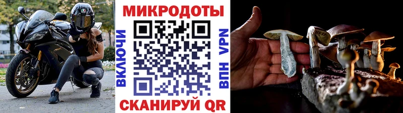 Галлюциногенные грибы Psilocybe  Шиханы 